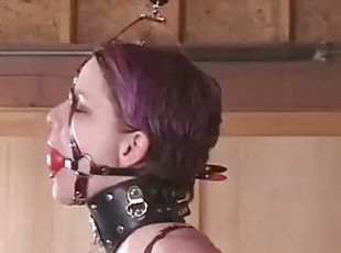 mamelons, milf, jouet, bdsm, bondage, brunette