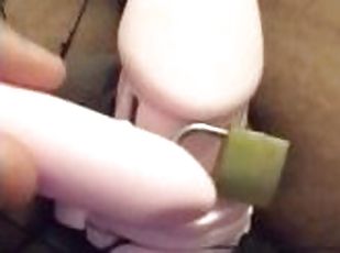 A half-minute of me rubbing a vibrator on my caged cock~???????? (@...