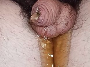 close up pissing, small dick