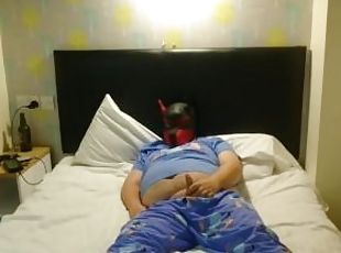 Alpha on the bed