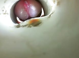 Big Hard Pulsing Cock Inside view Lots of Precum