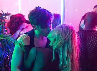 party, porrstjärna, samling, kyssar