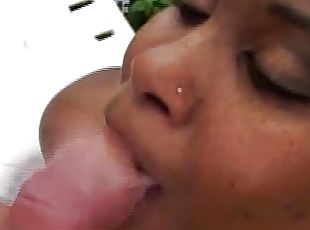 culo, tetas-grandes, cuatro-patas, coño-pussy, mamada, interracial, hardcore, estrella-del-porno, negra, regordeta