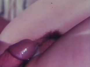 hårig, anal, cumshot, creampie, par, retro, slyna