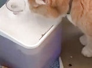 sweet pussy drinks