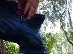 Public masturbation on hiking trail