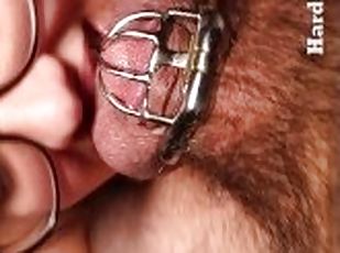 Micro Chastity Cage Blow Job Making His Blue Balls Throb Tease & De...