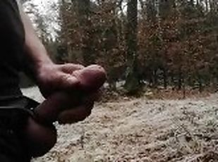 Public jerk off in the forest