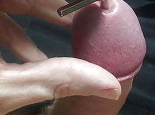 masturbation, amateur, gay, branlette, bdsm, française