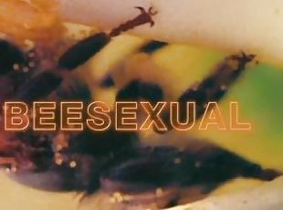 analano, biseksualci