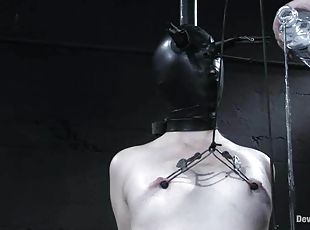 brystvorter, bdsm, vagina, fetisj, bondage