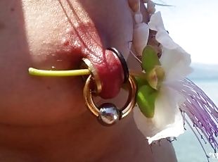 nippleringlover naked public beach pierced pussy & large gauge nipp...