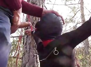 Tied to a tree on a sexy outfit, masked and outdoor deepthroat with...