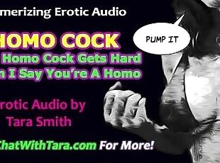 Your Homo Cock Gets Hard When I Call You A Homo Fetish Erotic Audio...