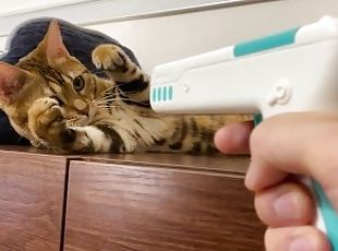 If you use a massage gun on Pussy, it will suck you into its mouth ...