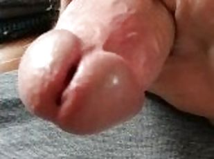 Close up dick