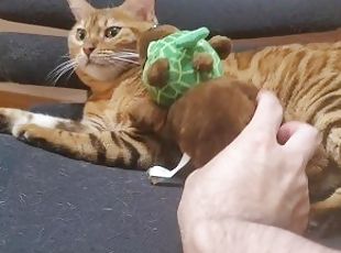 Pussy playing with dolls. She feels good while sucking the doll. ma...