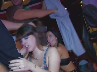 Brunette Sucks And Fucks At After-Hours Party