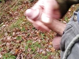 Outdoor pee turned into nice wank