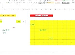 Format Painter in Excel