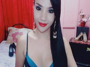 asiatisk, onani, skønheder, transvestit-tranny, webcam