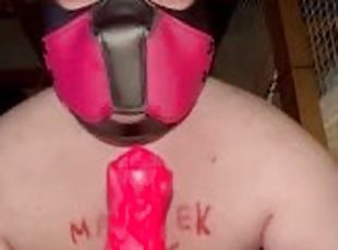 Obedient dog smokes dildo on mistress's order. At the end, he squir...