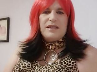 transvestit, amatør, ældre-dato, store-sorte-skønheder, retro, undertøj, webcam, kær, røv-butt, solo