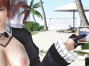 Dead or Alive Xtreme Venus Vacation Kasumi Rabbit Joker Outfit Nude...