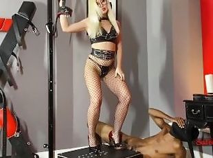 typykät, kova-seksi, bdsm, orja, blondi, kalaverkko, sidonta, femdom