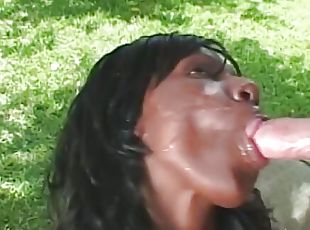 Black chick honey with nice tits hardcore fucked by big dong outdoo...