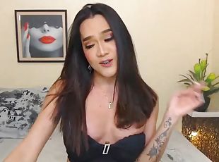 Gorgeous busty shemale with hard cock