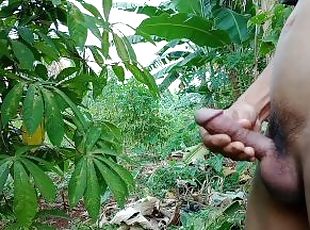 INDONESIAN DICK - Feeling Horny While Walking in the Cassava Garden...