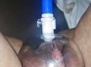 clitoris, extrem, pasarica, amatori, matura, negresa, negru, vagin, solo, uda