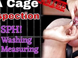 Femdom Chastity Cage Prince Albert Demo Tease Denial SPH Humiliatio...