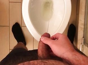 orgasme, kencing, homo, sudut-pandang, toilet, italia, seorang-diri, hotel, penis