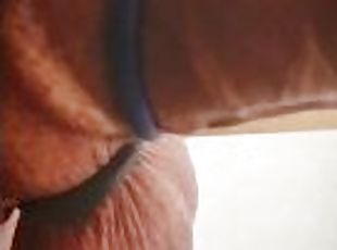 masturbation, amateur, anal, ejaculation-sur-le-corps, énorme-bite, branlette, secousses, belle, solo, boules