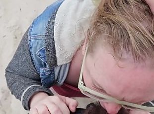 A quick beach Blowjob