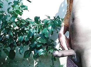 Pakinoon Got Horny While Visiting Garden For Guava, Masturbating A ...