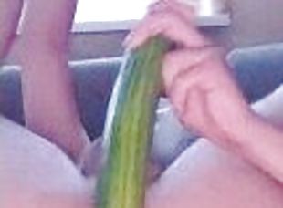 masturbation, amateur, anal, ados, jouet, gay, solo, légume