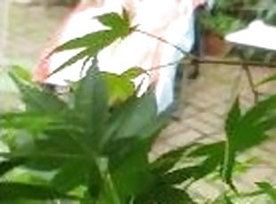 Pervert voyeur gooning in the bushes while busy bikini mature sunba...