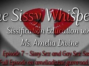 Sissy Sex and Gay Sex Same  The Sissy Whisperer Podcast